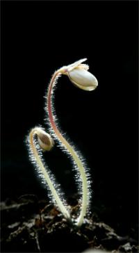 ������ �����۰� ��ǰ.