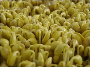 ������ ���� ���� ���� ���� �����ϴ�.