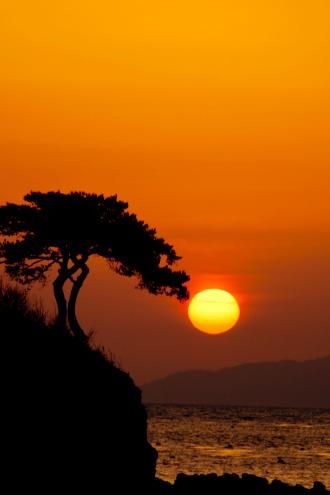 ȣ����������ȸ�� ��������� ���� ''�ּ� �ϸ�'' ��ǰ�̴�.