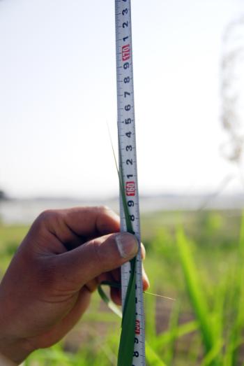 Ǯ�� 165cm�� ����Ű��ŭ �ڶ� �ִ�.