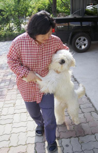 ���� �̼��� ��.