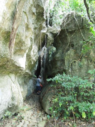 ��������� ���� ��.