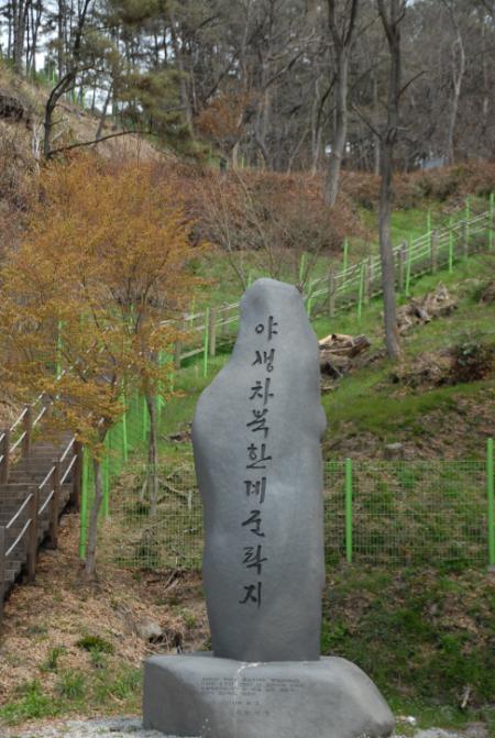 �߻��� ������