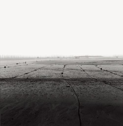 ������ �۰��� '���ʹٴ�'.