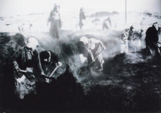 ���� �۰��� �����۾�.