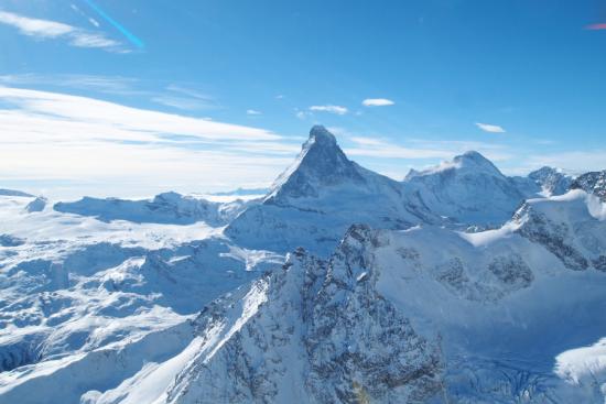 ������ ������ �Բ��ִ� ����ȣ��.