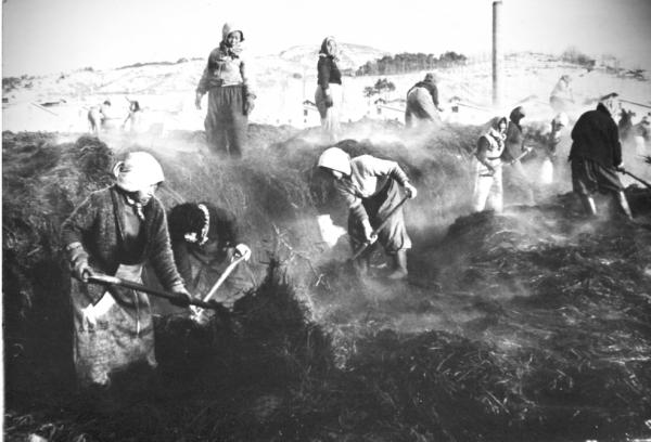 ���� ���� �������. 