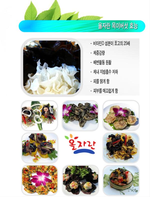 ���ڶ��� ���̹��� ȿ��.