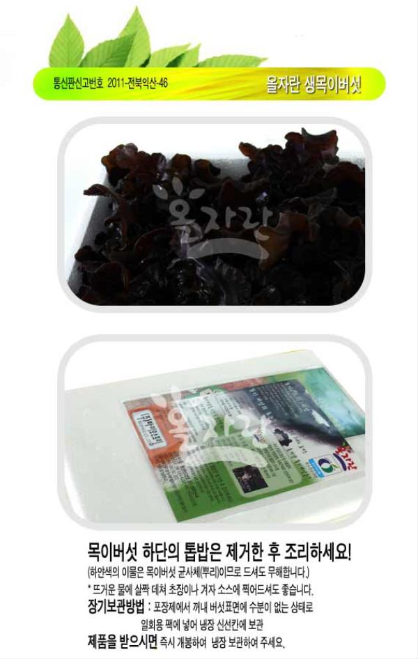 ���ڶ��� ���̹��� �Դ� ���.