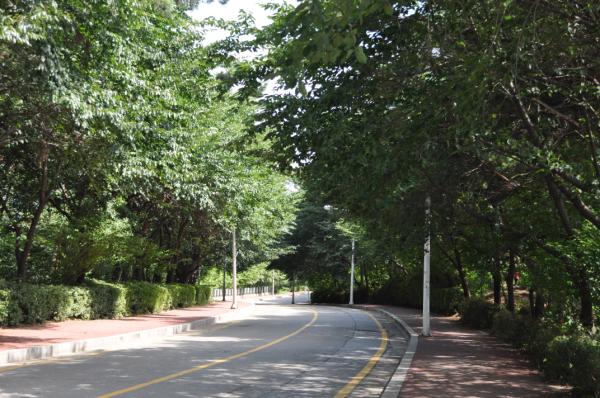 �ͻ� �Ҷ���� ȯ��ΰ� �ְ��ϴ� �ڿ����� �������� ������ ��� ������� 2015����� �ڿ��� ����� �Բ� ��췯���� �������� ������ ��ȹ�̴�.