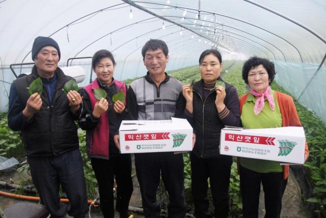 ���ʺ��� ����� ��ǥ(54)��������(54) �κ�, ������(54)��������(54) �κ�, �ֿ��� ��(63). ȸ�� �� ����� ��(68)�� ���λ������� �����Կ��� ������ ���ߴ�.