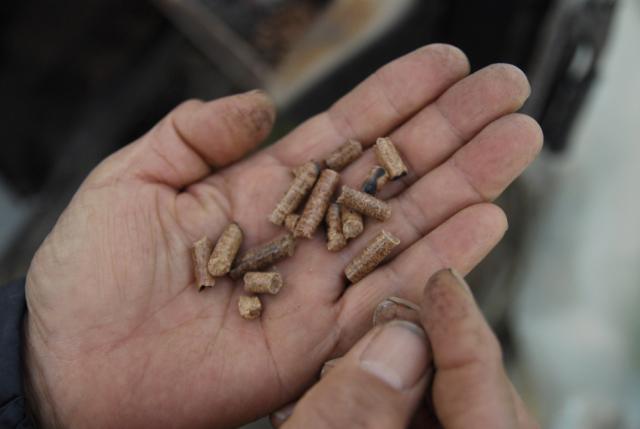 ���� ���� �ҷ� �����Ӹ�.