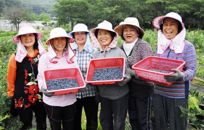 �����纣������ ��Ȯ�ϴ� �ͻ� ���� ��õ���纣���۸�� ������ε��� �Թڿ����� ���� �ִ�. ���ʺ��� Ȳȣ��, ������, ������, ������, �����, �ھ�� ��.