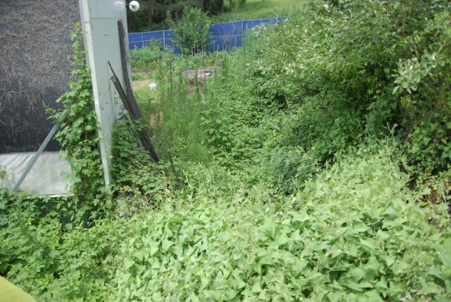 ȫ��ö ���� �۾��� ������ ��ġ�� ��ũ��Ʈ ���ΰ��� ��簡 ���� �������鼭 ���ʰ� ������ �ڶ�� ������ ���ߴ�. 