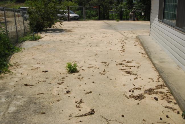 ���翡 ���� ���.