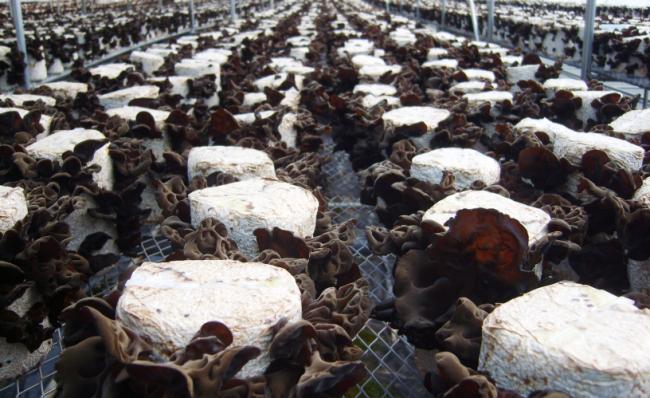 �޺��� �ذ� �ٶ��� ������ �������� �ڶ�� �ִ� ���̹���. 