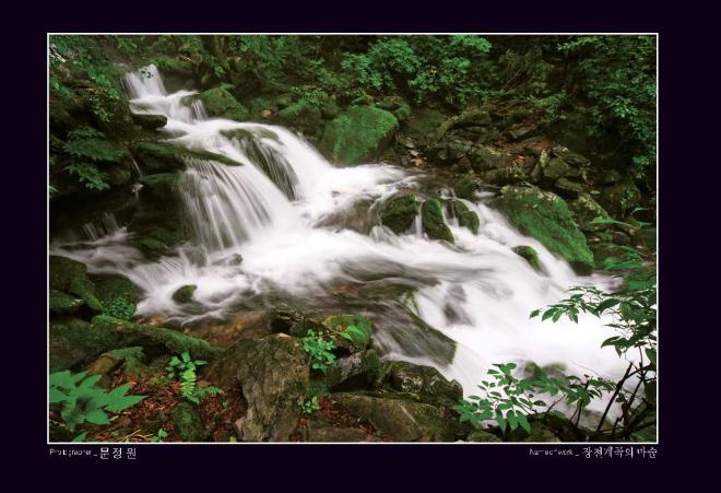 ������ �ѹ��� '��������� ����'