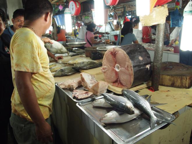 Ǫ������Ǫ�����翡 �ִ� �����.