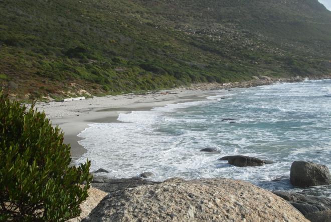 ���ư� ������ �����ġ.