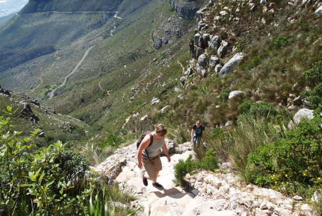 ���̺�����ƾ Ʈ��ŷ���� ����.