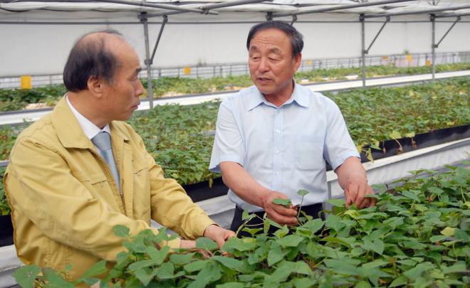 ������ �ǿ�(������)�� �ͻ�ó��������� ������ ����� ����� �����ϰ� �ִ�.