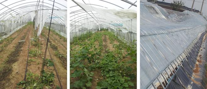 ��ǳ���� ����.