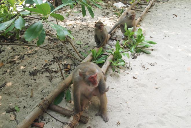 ��Ű���Ϸ��忡���� �����̵�