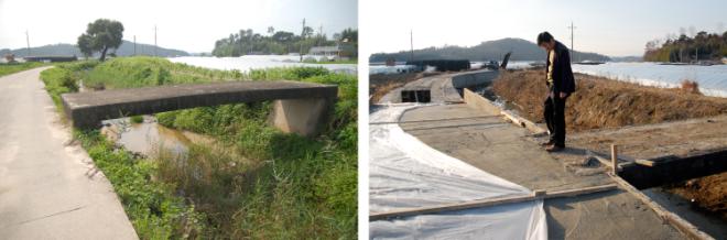 ���� 50cm ���� �ֹε��� ������ ���� ���ϴ� ���� ����긶�� �Ա� �ٸ��� 12�� �߼��� �����ƴ�.