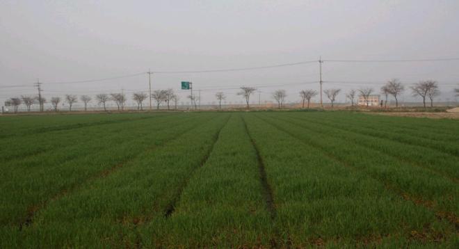 ������ Ǫ�� ���