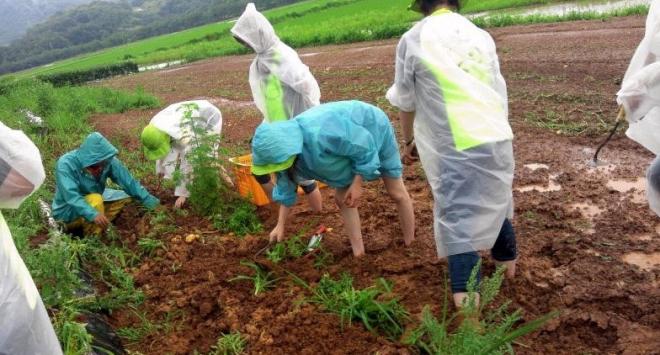 ü���� ���� ������