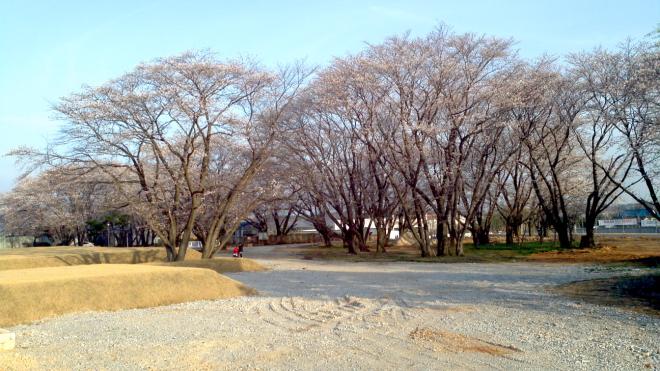 �ձø� ������ ������ ������ ���ɳ���