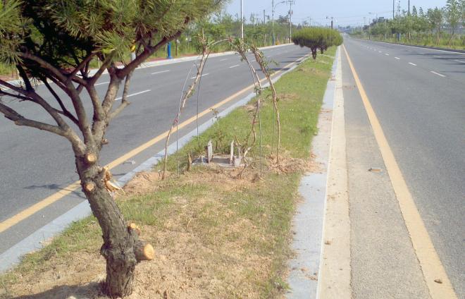 ���� ��� ������ ���μ� ȭ��. �������� �μ��� ���ε�� ���� 2�׷簡 ö�ŵ� �� �̻����� ������ �ϰ� �ִ�.