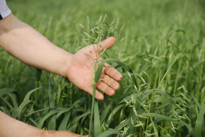 ���� 10�� �۸� �� �ϳ� �ұ͸�. �������� �����ϰ� ���������� ����ϰ� �ִ�.