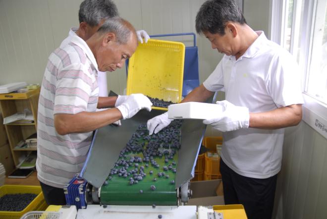 ������ �������ų� ���°� ���� ���� ���� ��󳽴�.