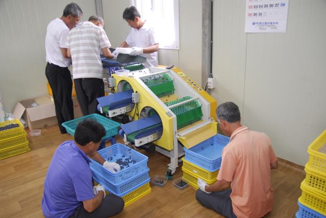 ũ�⿡ ���� ��󳻴� �����۾�