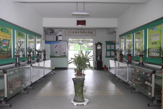 ����� ����