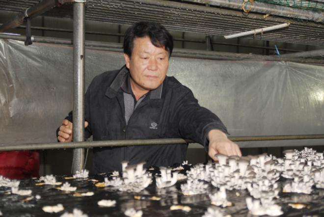 �쿵�� ����.