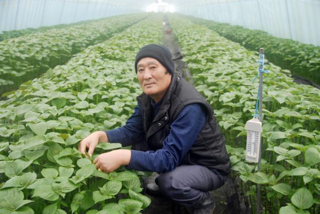 ĥ���������չ��� ����� ��ǥ. 