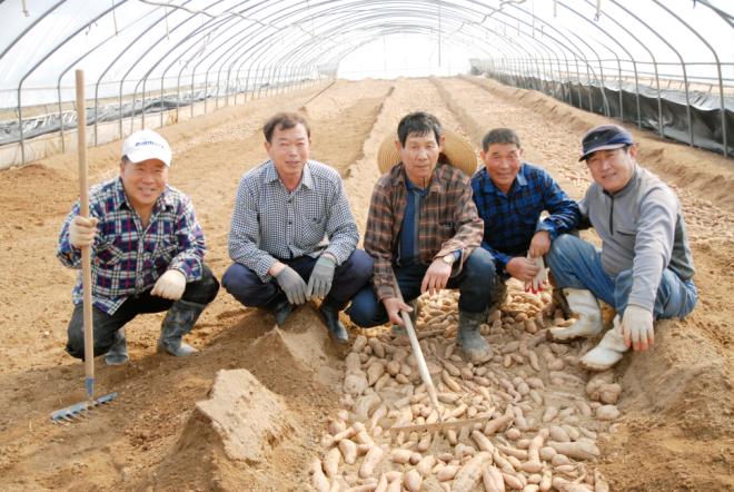 ������ �󱺵�. ���ʺ��� ������, �弮��, �ڳ���, ������, ���缱 ��.