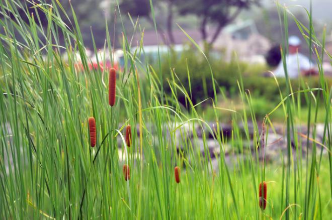 �ͻ��߾�ü������ ������ �� �ε��