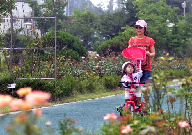 ������ ã�� ����̿� ������ ǥ������ �Ѱ��ο� ���� ������ ���밡 ���� ����� �ִ�.