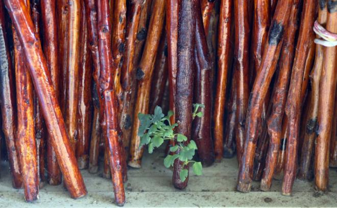 ���� ���Ƴ� ������.